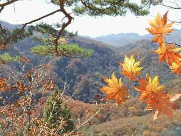 居民身份证防伪技术有哪些