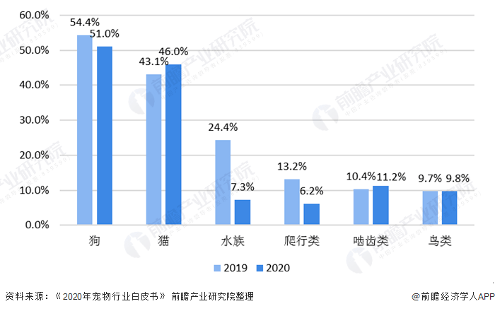 宠物食品前景怎么样