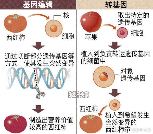 湿度仪表与脱毛剂的用法比较