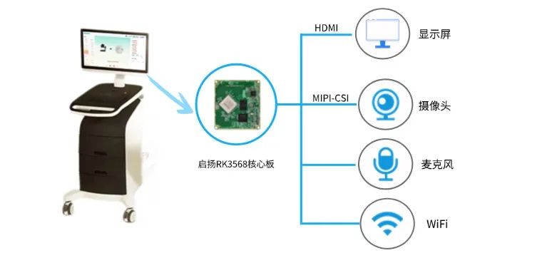 碳水化合物结合模块是什么