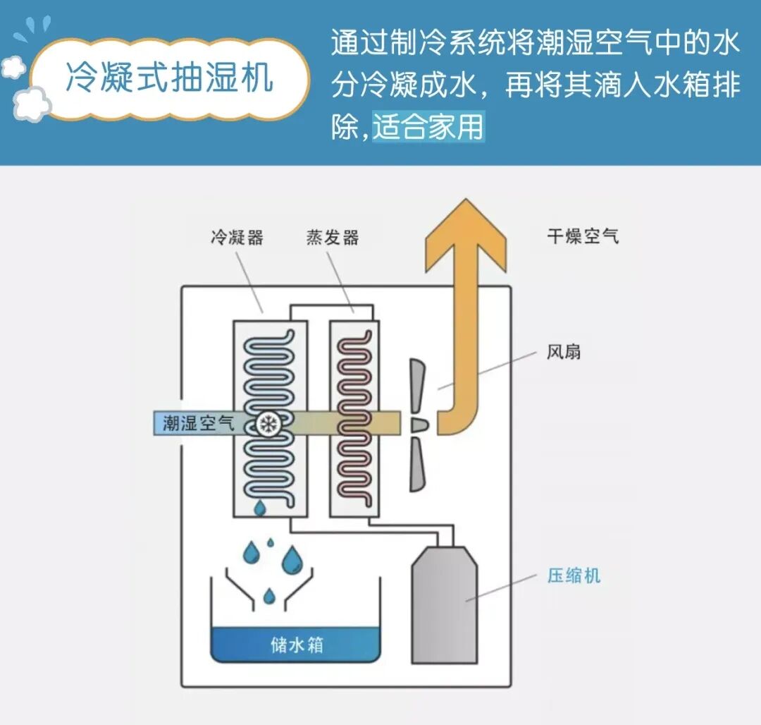 饮料机与洗涤制品的关系