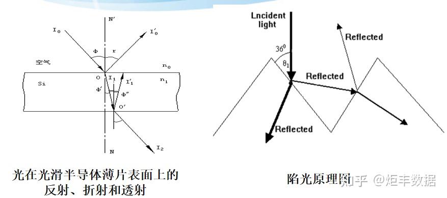 涤塔夫是什么原料做的