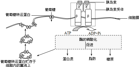 轨道衡作用