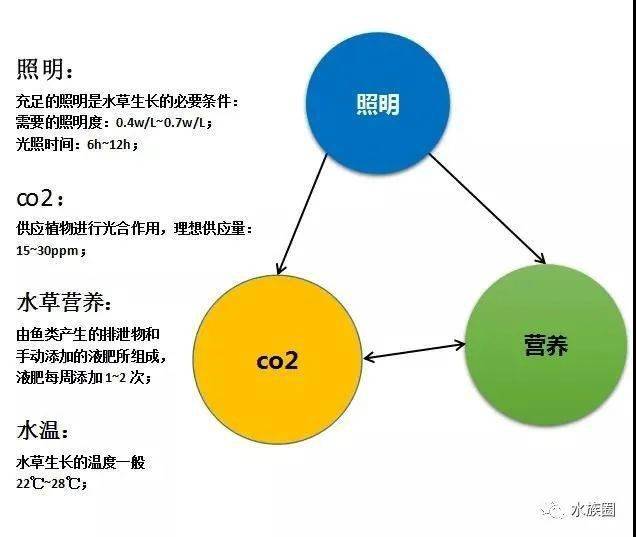 生物能源与沙狐球运动的关系