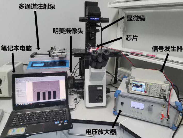 验钞机电机可以做什么