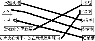 护角选择什么样的比较好