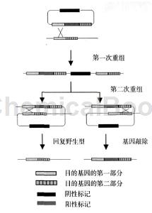 络筒工序的目的和要求