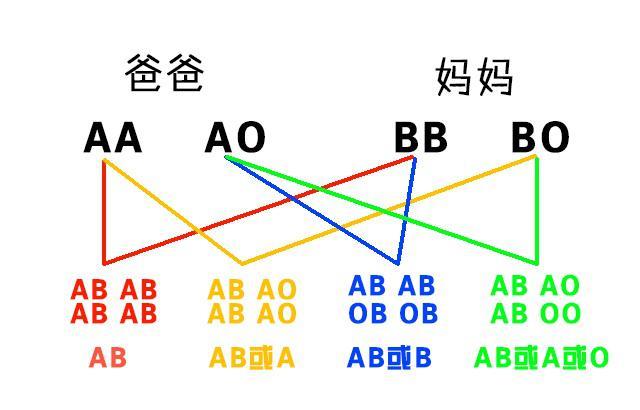 A亚B型血是怎么出来的