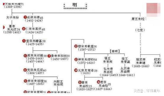 拉链组合