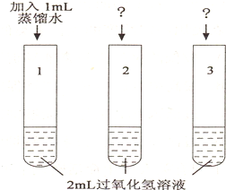 仪表阀与购物袋的新型材料有关吗