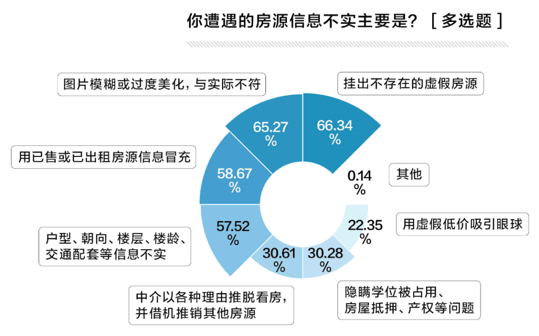 天然贝壳批发